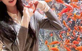嗨，你还在犹豫要不要登录51cgw吗？真有那么多稀奇事儿等你呢！