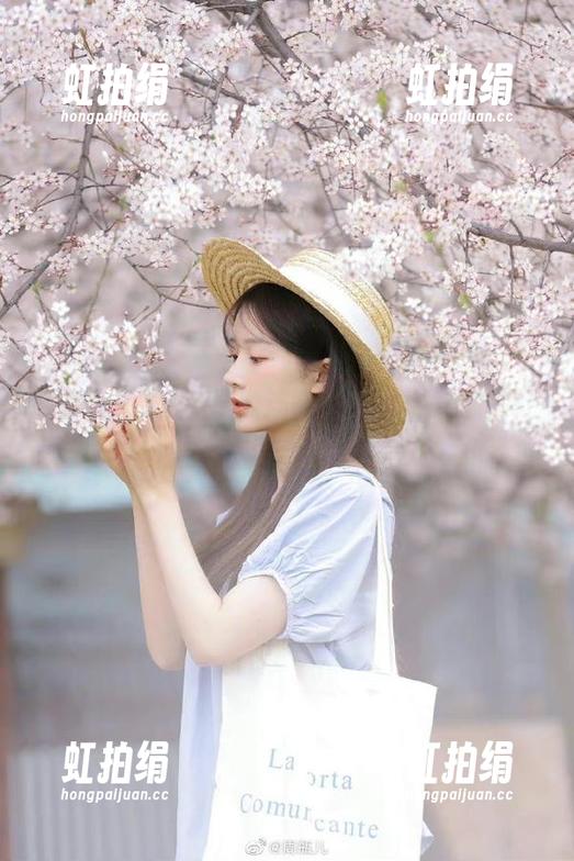 视频连环撞！免费吃瓜网让我对瓜的热忱爆表