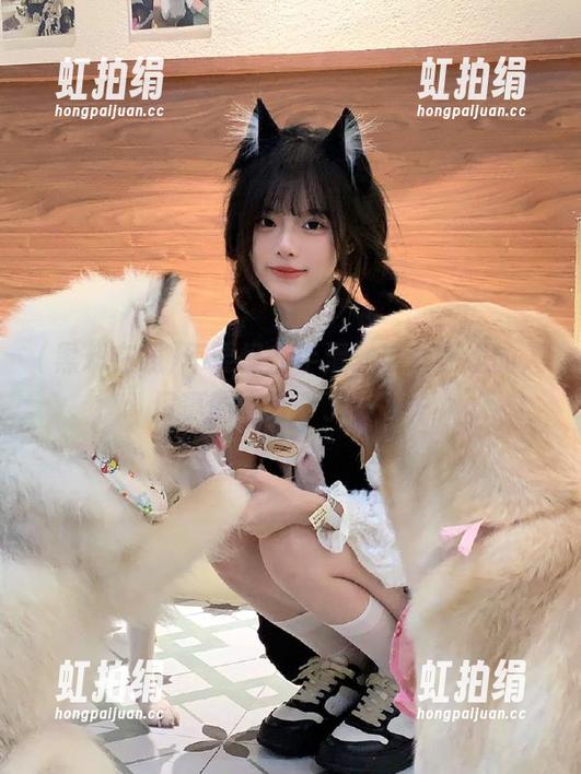 不要怪我手滑，黑料在线的入口真的太好奇了一下…