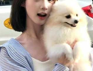 不只是发布黑料老司机万里长征篇，这背后还有多少隐情？