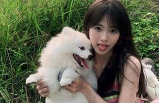 黑料老司机ios一天不打烊，瓜农都快累瘫了！